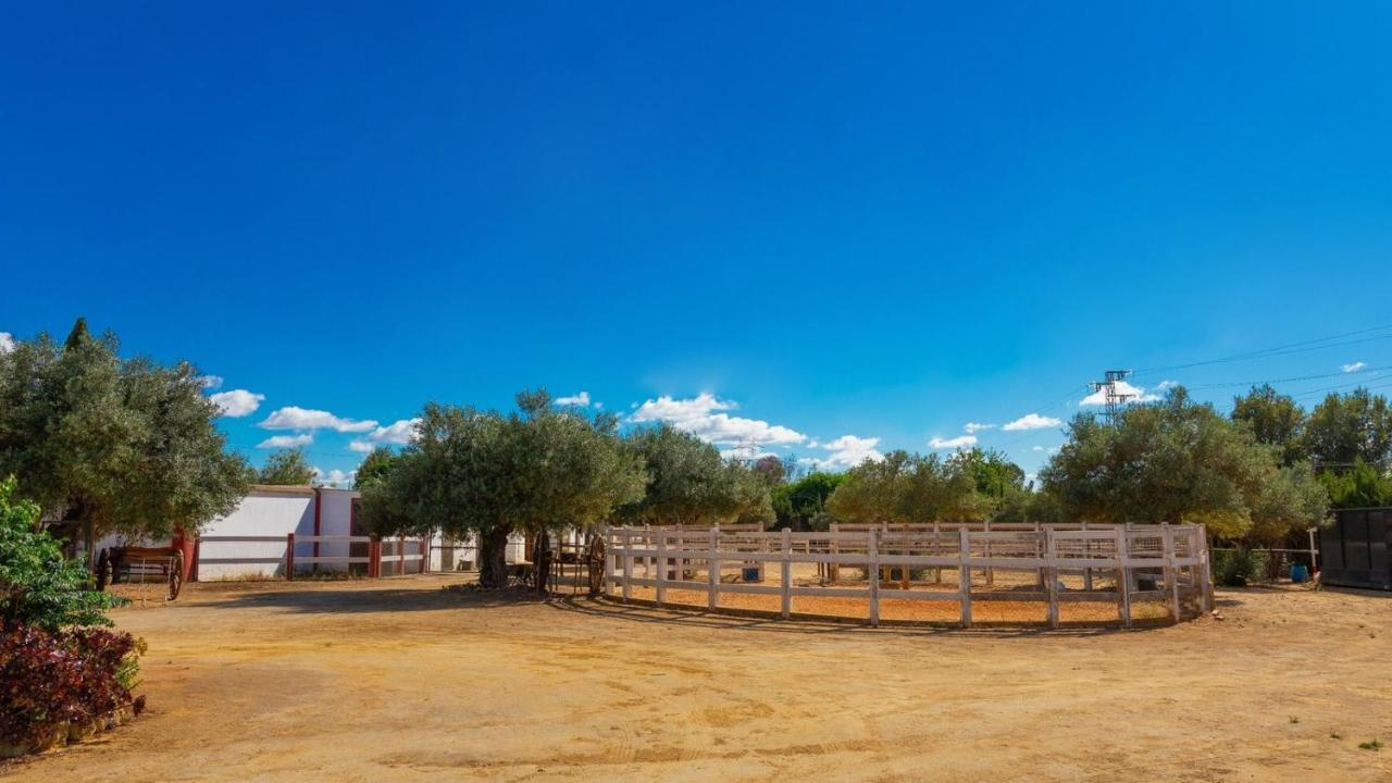 Finca La Canera Alcala De Guadaira By Ruralidays Ngoại thất bức ảnh